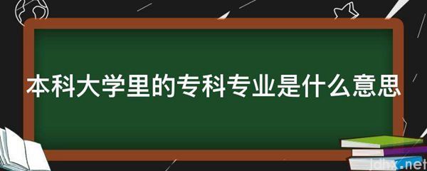 本科大学里的专科专业的意思是什么(图1)