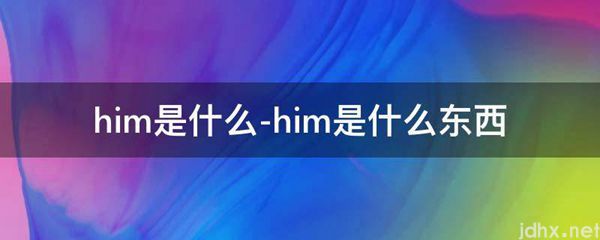 him是什么-him是什么东西(图1)