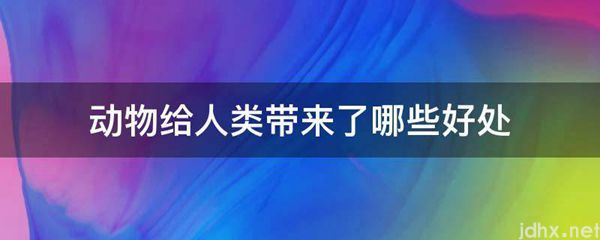 动物给人类带来了哪些好处(图1)