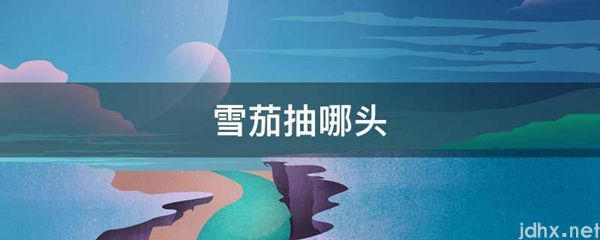 雪茄抽哪头(图1)