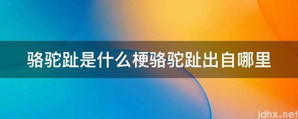 骆驼趾是什么梗骆驼趾出自哪里(图1)