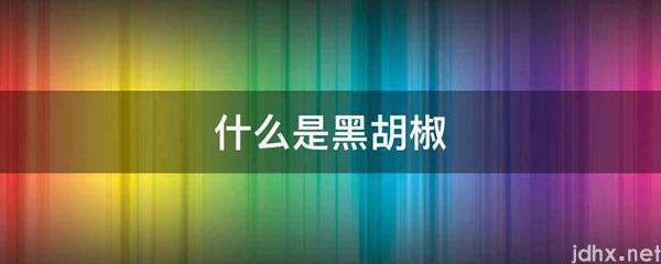 什么是黑胡椒(图1)