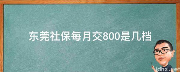 东莞社保每月交800是几档(图1)