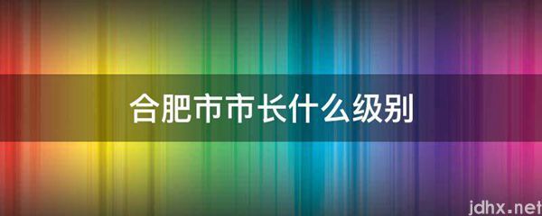 合肥市市长什么级别(图1)