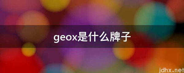 geox是什么牌子(图1)