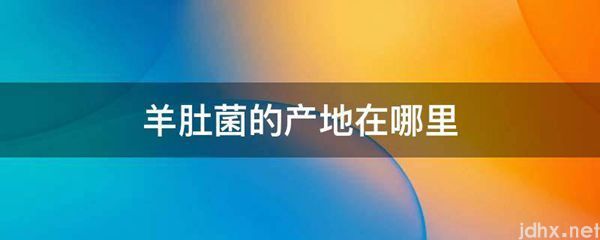 羊肚菌的产地在什么地方(图1)