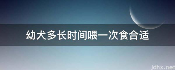 幼犬多长时间喂一次食合适(图1)
