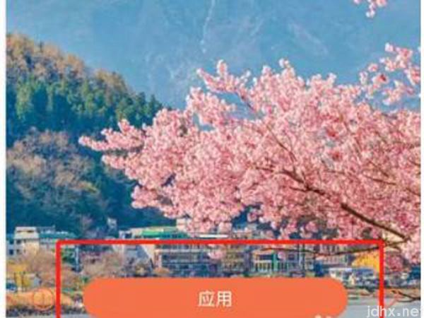 oppo手机壁纸怎么设置(图3)