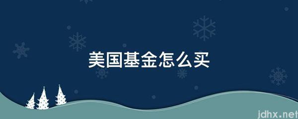 美国基金怎么买(图1)