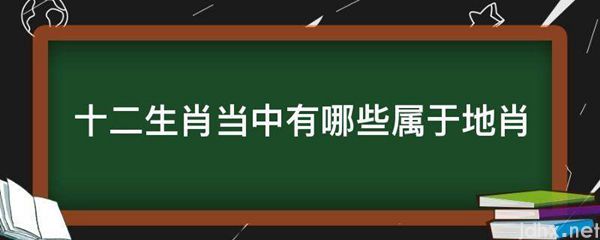 十二生肖当中有哪些属于地肖(图1)