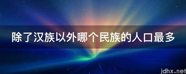 除了汉族以外哪个民族的人口最多(图1)