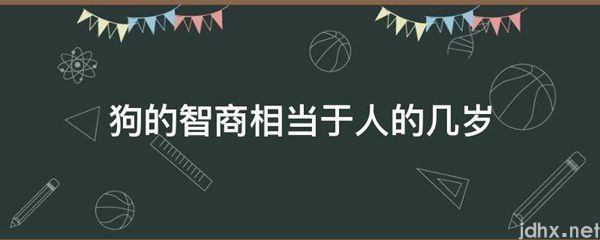 狗的智商相当于人的几岁(图1)