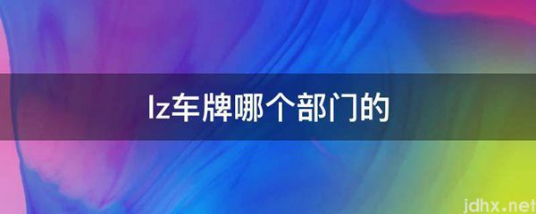 lz车牌哪个部门的(图1)