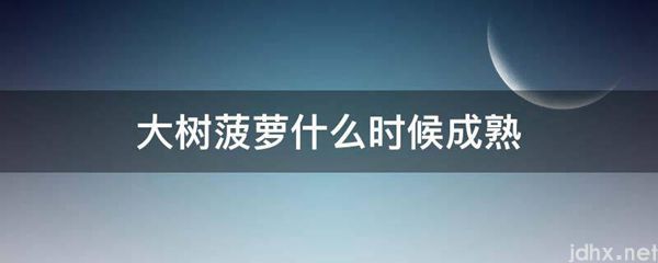 大树菠萝什么时候成熟(图1)