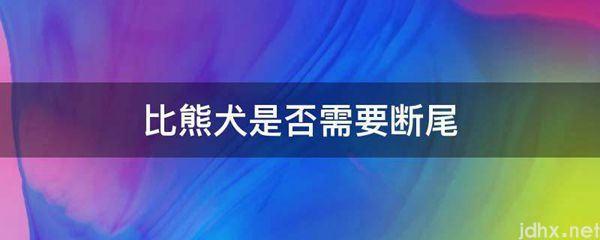 比熊犬是否需要断尾(图1)