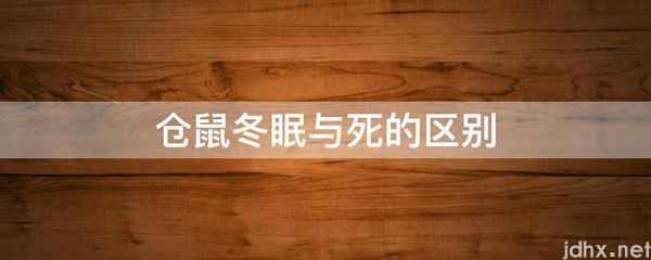 仓鼠冬眠与死的区别(图1)