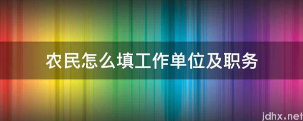 农民怎么填工作单位及职务(图1)