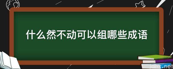 什么然不动可以组哪些成语(图1)