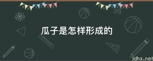 瓜子是怎样形成的(图1)
