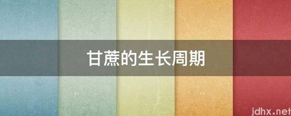 甘蔗的生长周期(图1)