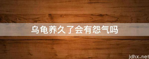 乌龟养久了会有怨气吗(图1)