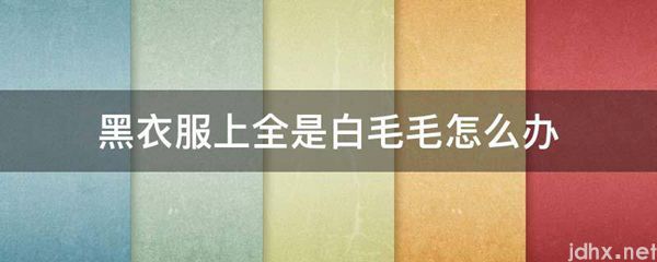 黑衣服上全是白毛毛怎么办(图1)