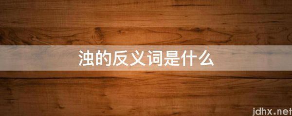浊的反义词是什么图片(图1)