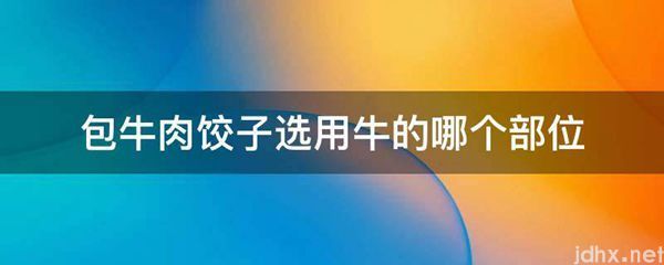 包牛肉饺子选用牛的哪个部位(图1)
