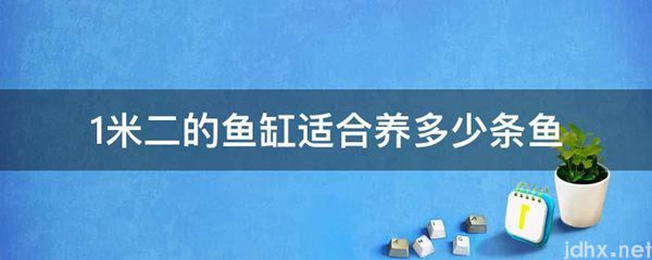1米二的鱼缸适合养多少条鱼(图1)