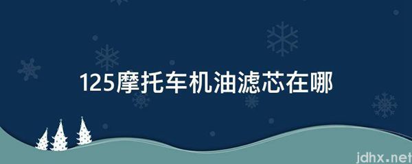 125摩托车机油滤芯在哪(图1)