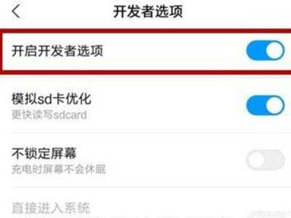 小米手机怎么打开开发者选项(图6)