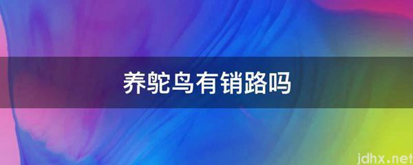 养鸵鸟有销路吗(图1)