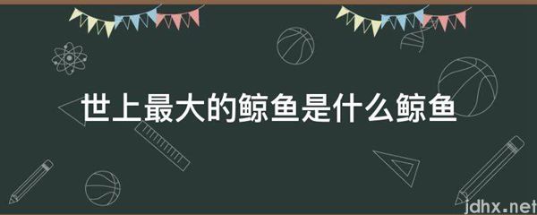 世上最大的鲸鱼是什么鲸鱼(图1)