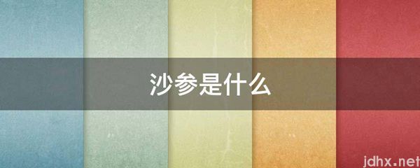 沙参是什么图片(图1)