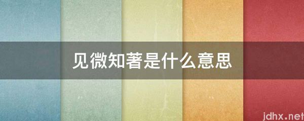 见微知著的意思是什么(图1)
