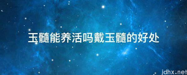 玉髓能养活吗戴玉髓的好处(图1)