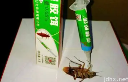 杀蟑饵剂是引诱蟑螂吃吗2