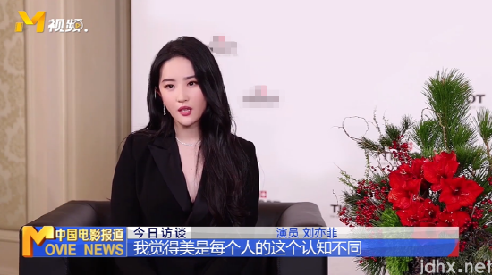 刘亦菲谈美的标准:揉到内心情绪想表达的时候最美(图1)