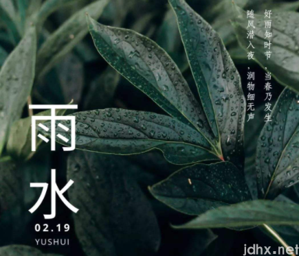 雨水节气不下雨会大旱吗20224