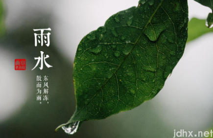 雨水节气不下雨会大旱吗20223