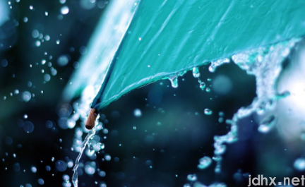 雨水节气不下雨会大旱吗20222