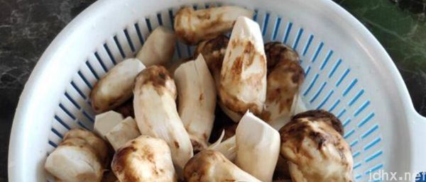 松菌油的制作方法(图2)