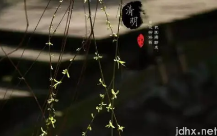 2022年清明节上坟属虎的能去不2