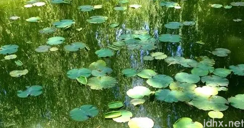 2022夏至前后是一年中最热的吗3