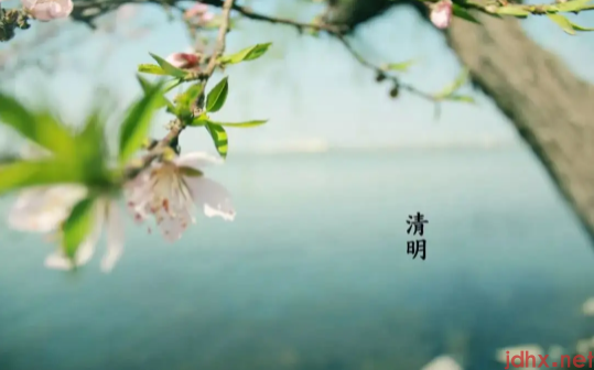 2022清明节哪些生肖不能去上坟3