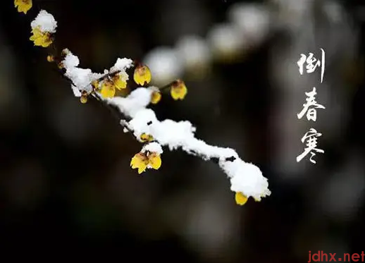 2022年4月会不会有倒春寒2