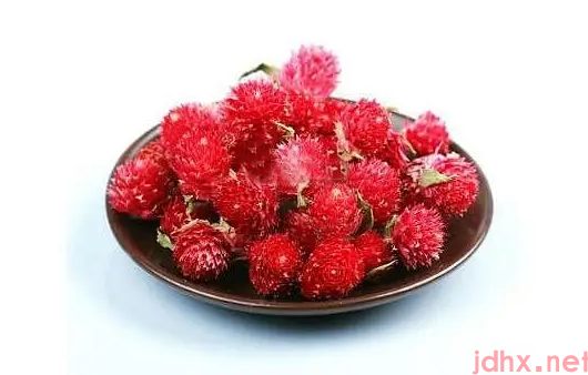 红乃梅茶是寒性还是温性3