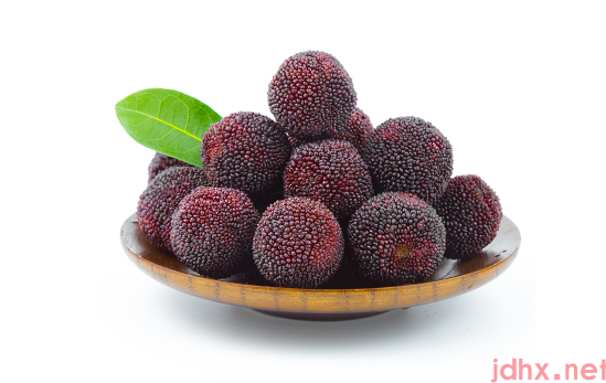 杨梅冷冻后虫子还可以出来吗1
