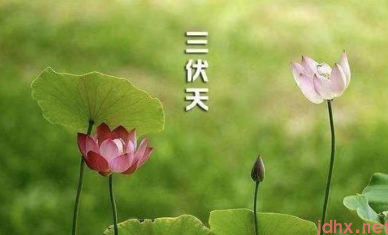 2022进伏是哪一个节气开始3