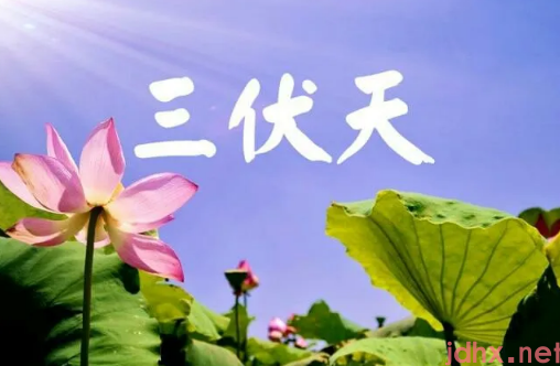 2022进伏是哪一个节气开始2